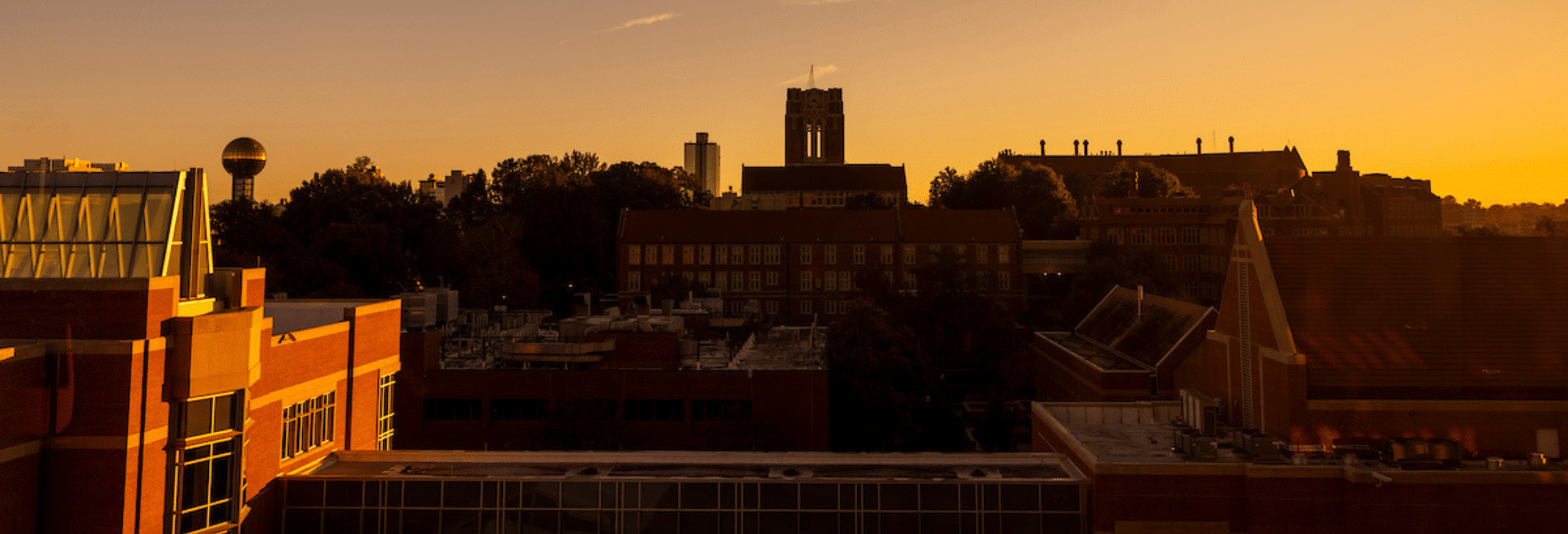 Pathway Programs at the University of Tennessee